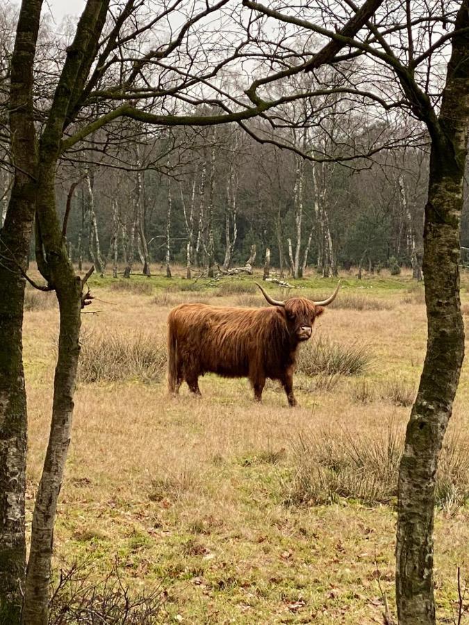 Herberg De Pas Haarle Luaran gambar